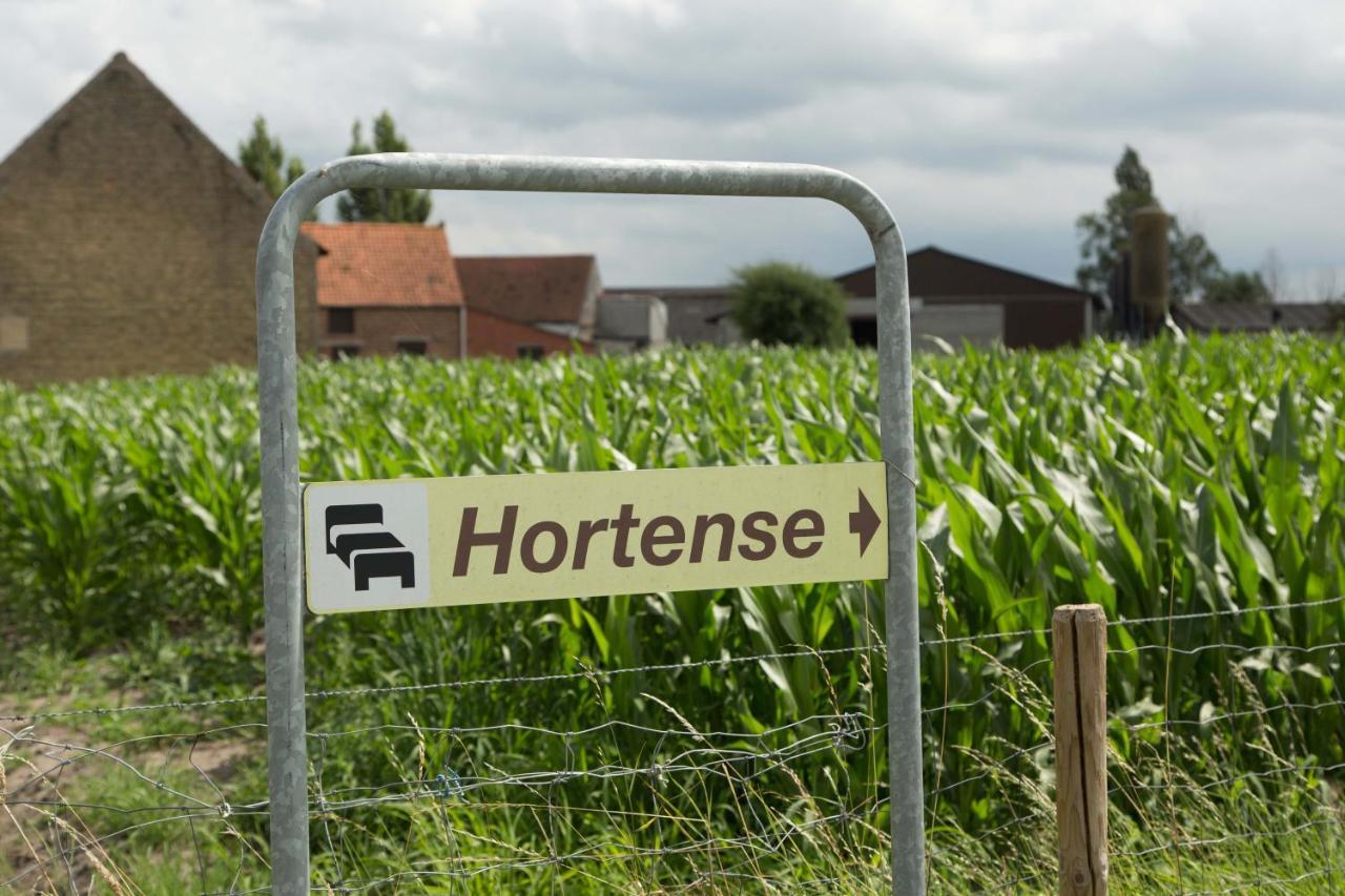 B&B Hortense Koekelare Exterior foto